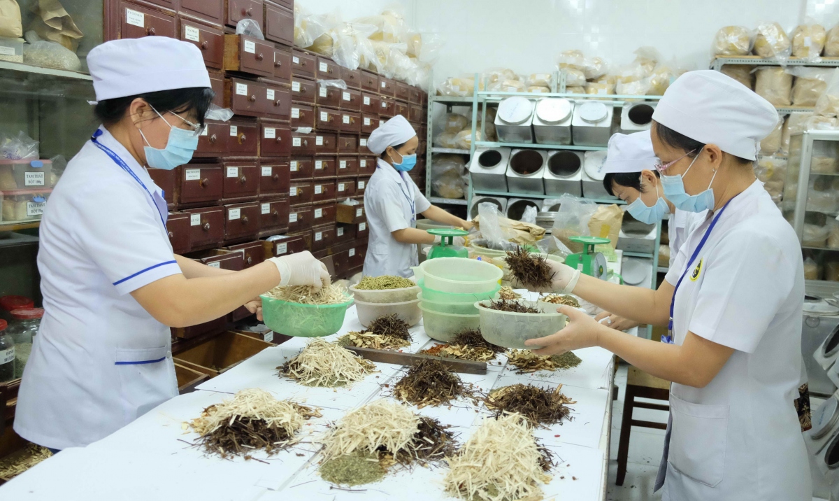 International conference in Italy highlights traditional Vietnamese medicine